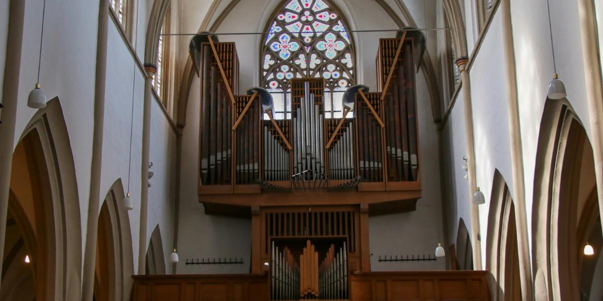 Die Katholische Kirche in Bonn