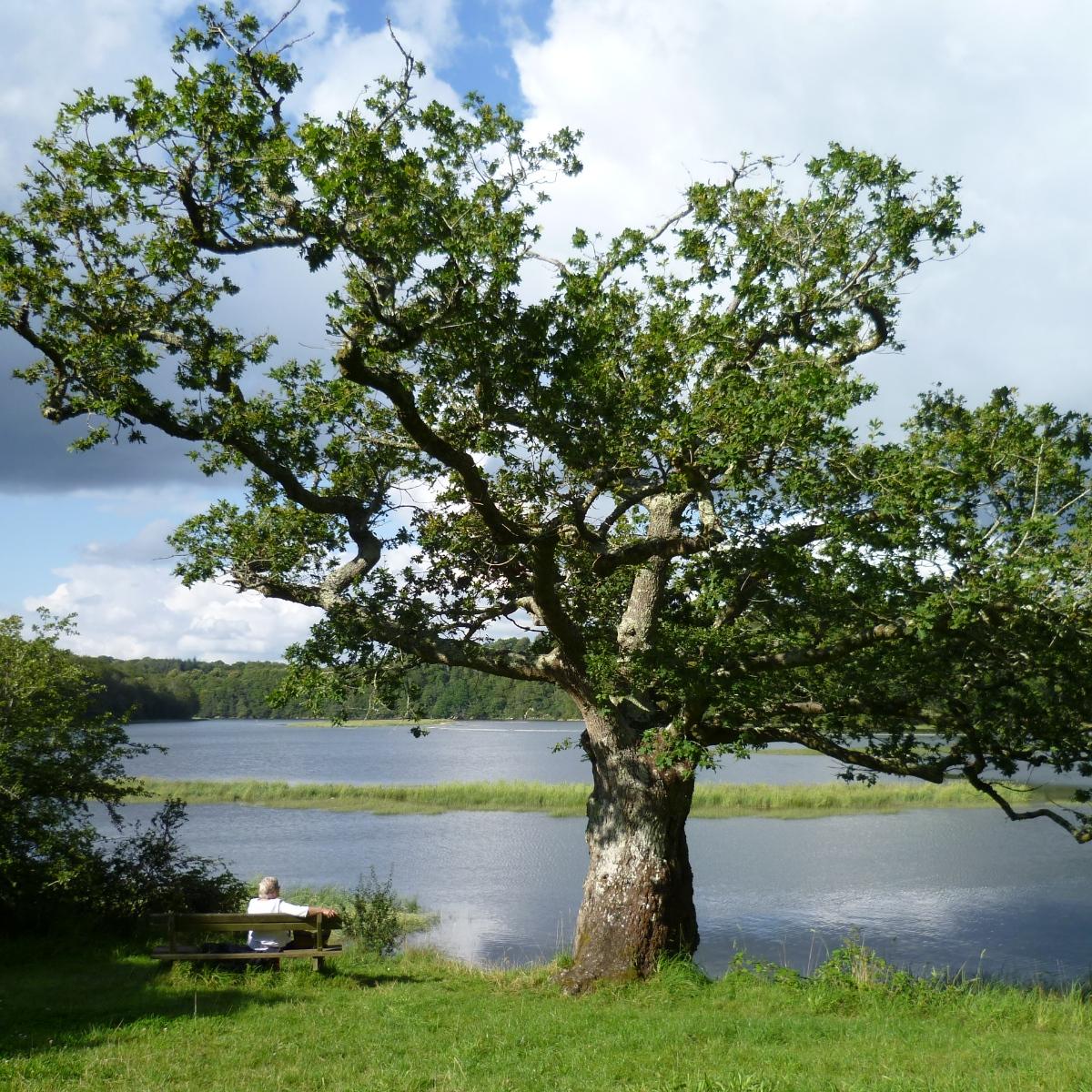 P1020469_Se-ko